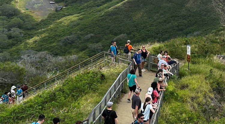 Diamond Head Summit Trail hiking tips – The Best Hiking Trails in Hawaii