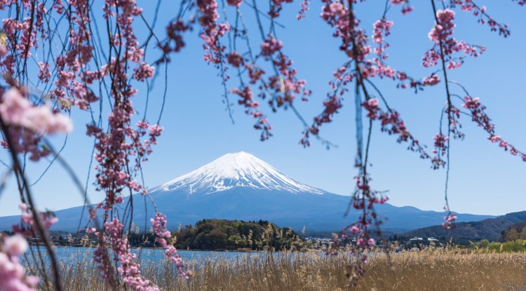 Best Place to See Mount Fuji