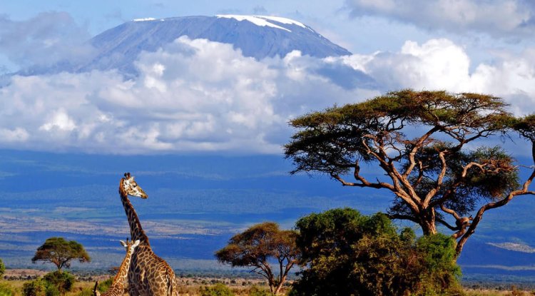 Destination Tanzania: A Captivating Blend of Nature, Wildlife, and Culture
