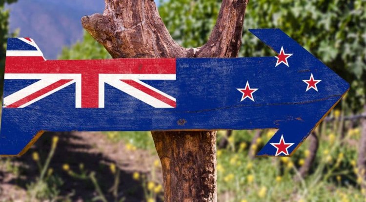 New Zealand Visa for Indians – What is the Requirements, Fees and Types?