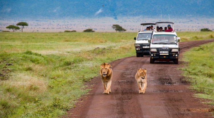 Kenya Allow Visa free to entry for All National to Boost Tourism