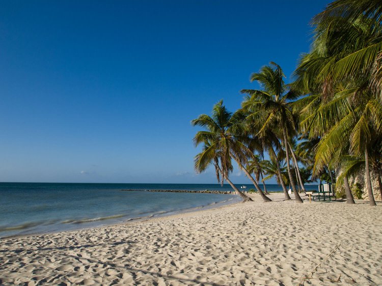 Immerse Yourself in Old World Charm: Key West’s Tropical Architecture