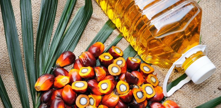 Sustainable Palm Oil: Fact or Fiction? A Look at RSPO Certification