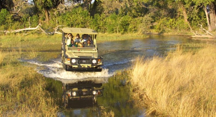 Discover the Best Time to Visit the Okavango Delta