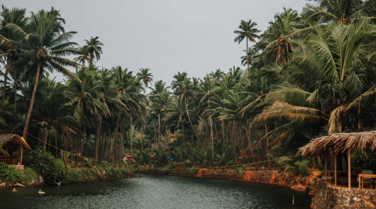 30 Best Places to Visit in Goa That Aren’t Beaches
