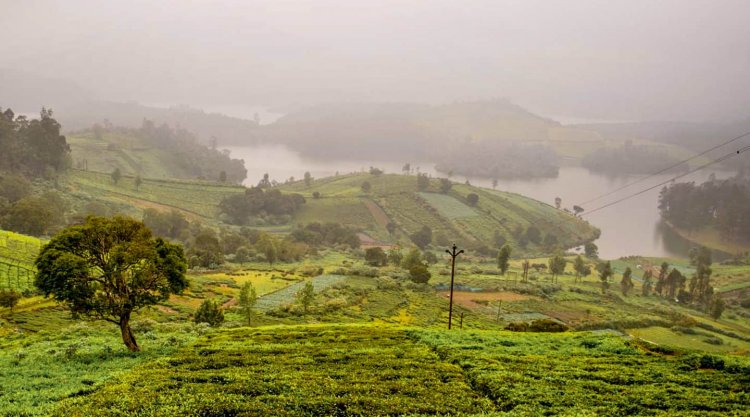15 Amazing Things to Do in Ooty in 2022