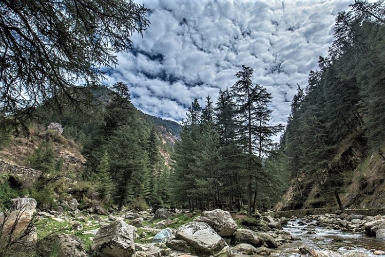 How To Plan A 7-Day Trip To Himachal Pradesh?