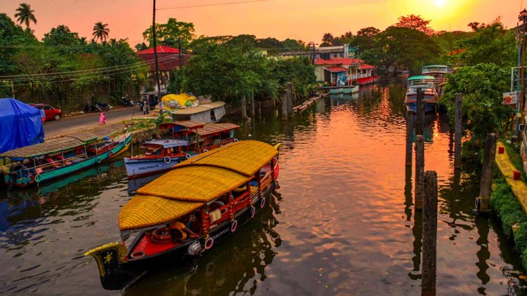 Alleppey Trip Guide: 5 Amazing Things to Do in Alleppey in 2023