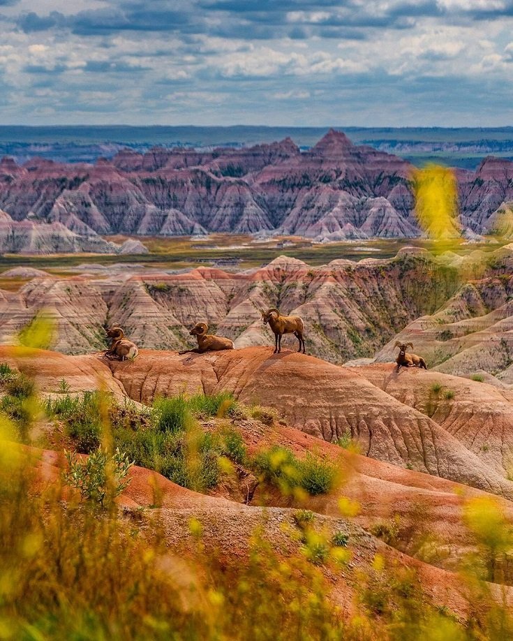 Badlands national park travel guide – All things you need to know