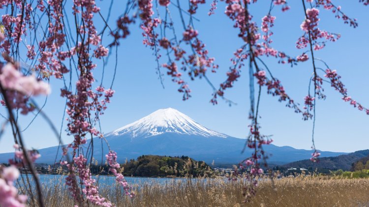 Best Place to See Mount Fuji