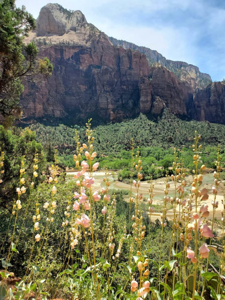 A Journey through Utah’s Natural Treasures: Zion, Bryce Canyon, Coral Pink Sand Dunes, and Glendale