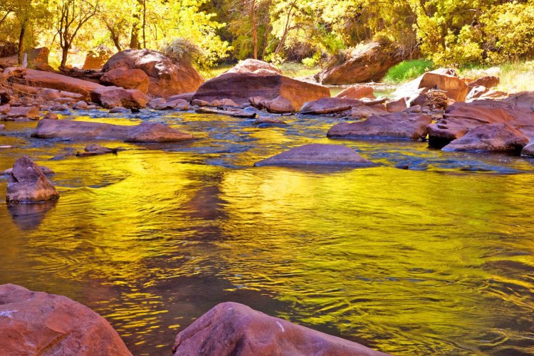 Fall Splendor: A Journey Along the Riverwalk in Zion National Park