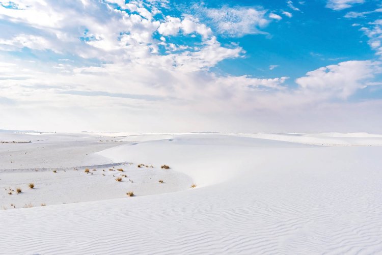 The Enchanting White Sands: A Gypsum Wonderland