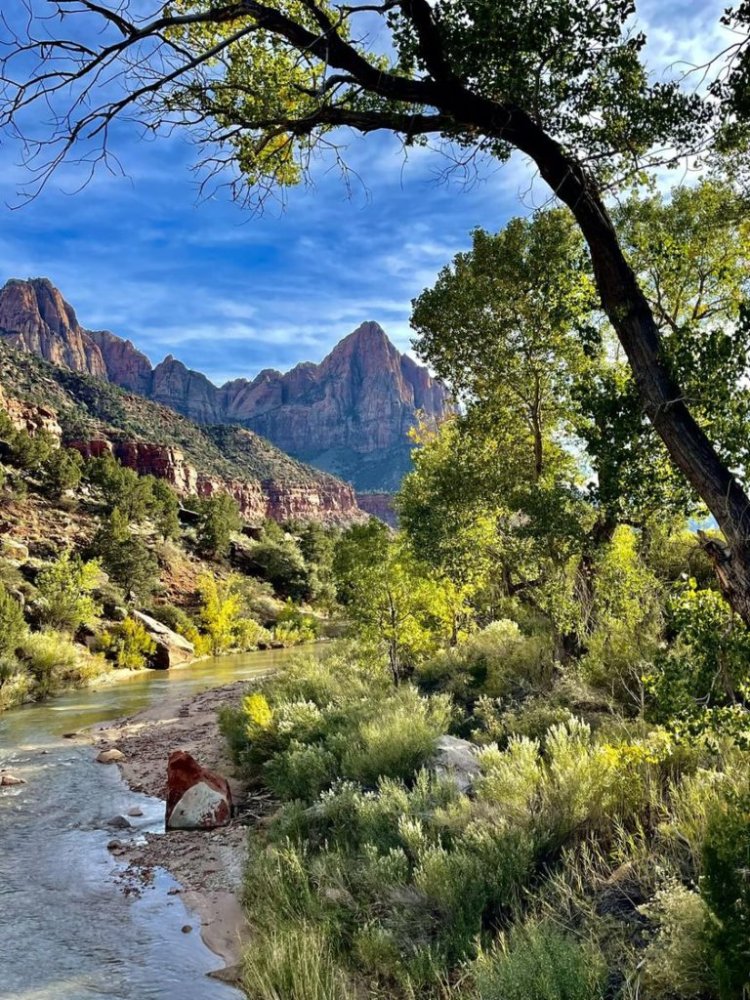 Zion Canyon: The Everlasting Masterpiece Crafted by the Virgin River