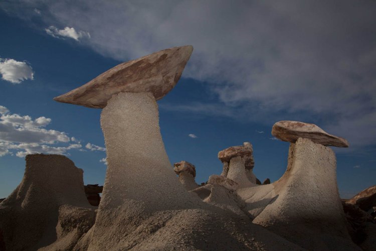 Unveiling Enchantment: Exploring New Mexico’s Bisti Badlands and Ah-Shi-Sle-Pah Wilderness