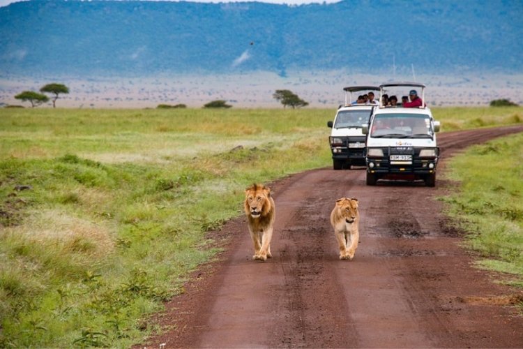 Kenya Allow Visa free to entry for All National to Boost Tourism