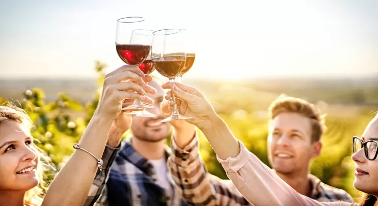 How To Choose The Best Winery Tour For Your Next Adventure